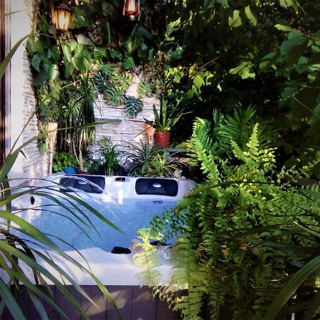 Ferienhaus Wasgaublick Lägenhet Bundenthal Exteriör bild